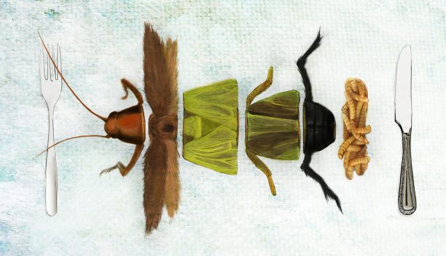 Bugs for breakfast - The McGill Daily