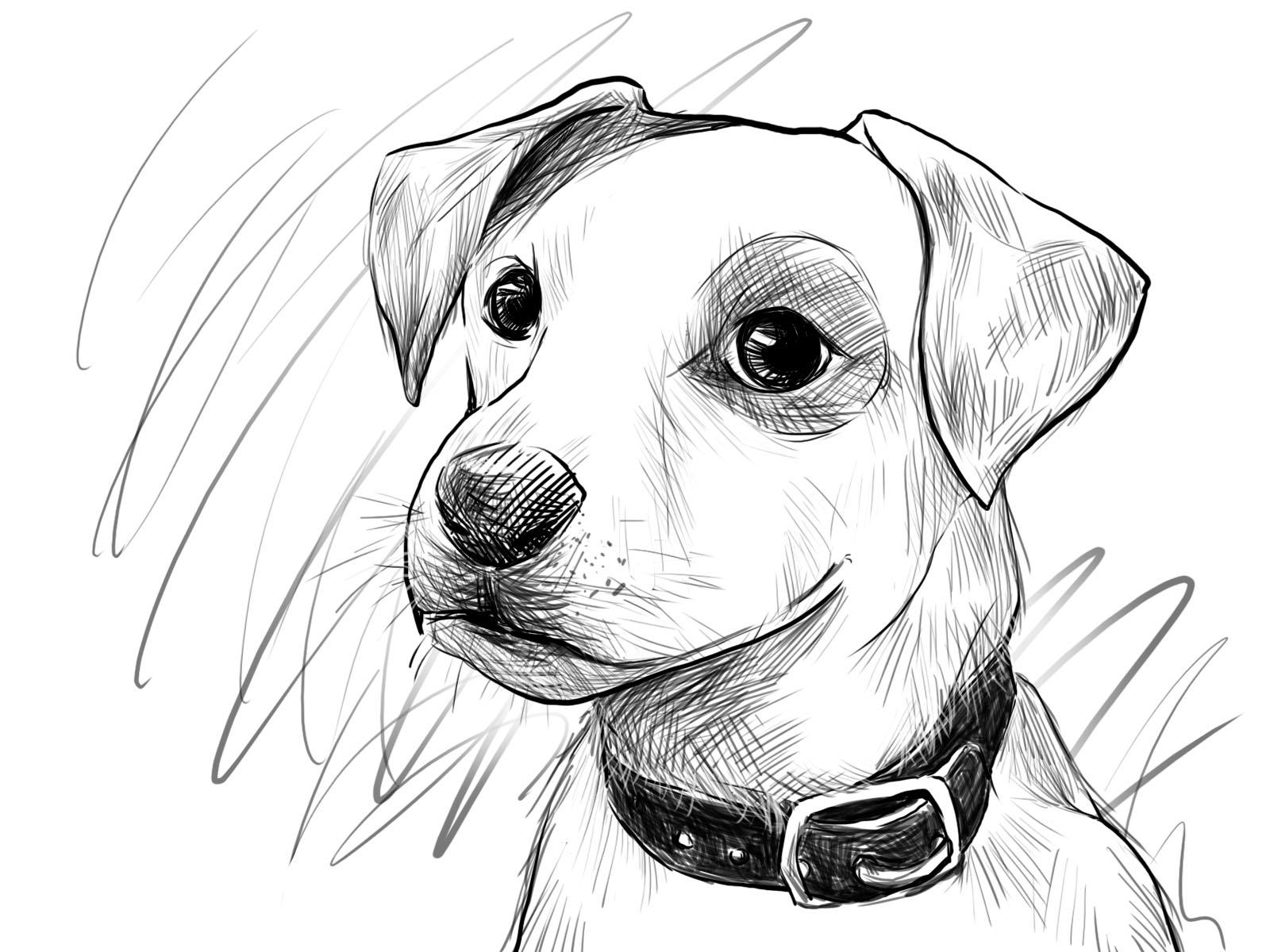 Realistic Easy Beginner Dog Drawing Goimages Base