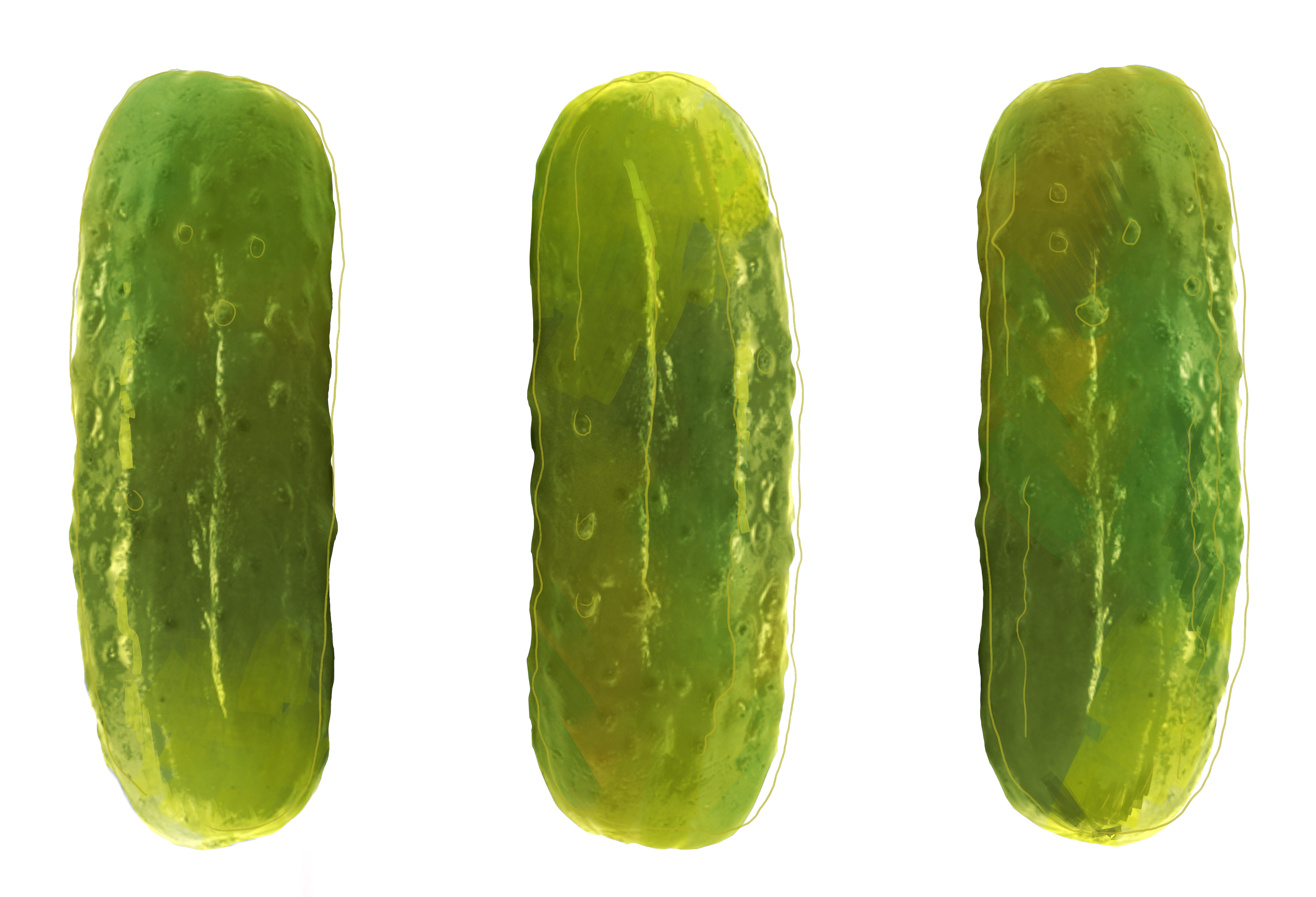 Jewish identity in a pickle - The McGill Daily