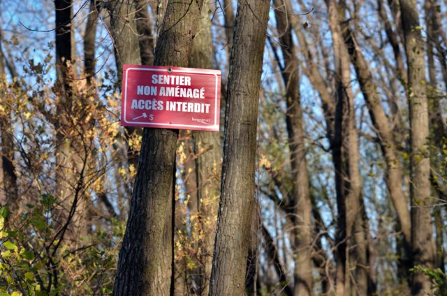 Red sign saying "uncleared trail. Access prohibited." (translated from French) on a tree in Marie-Victorin Park.