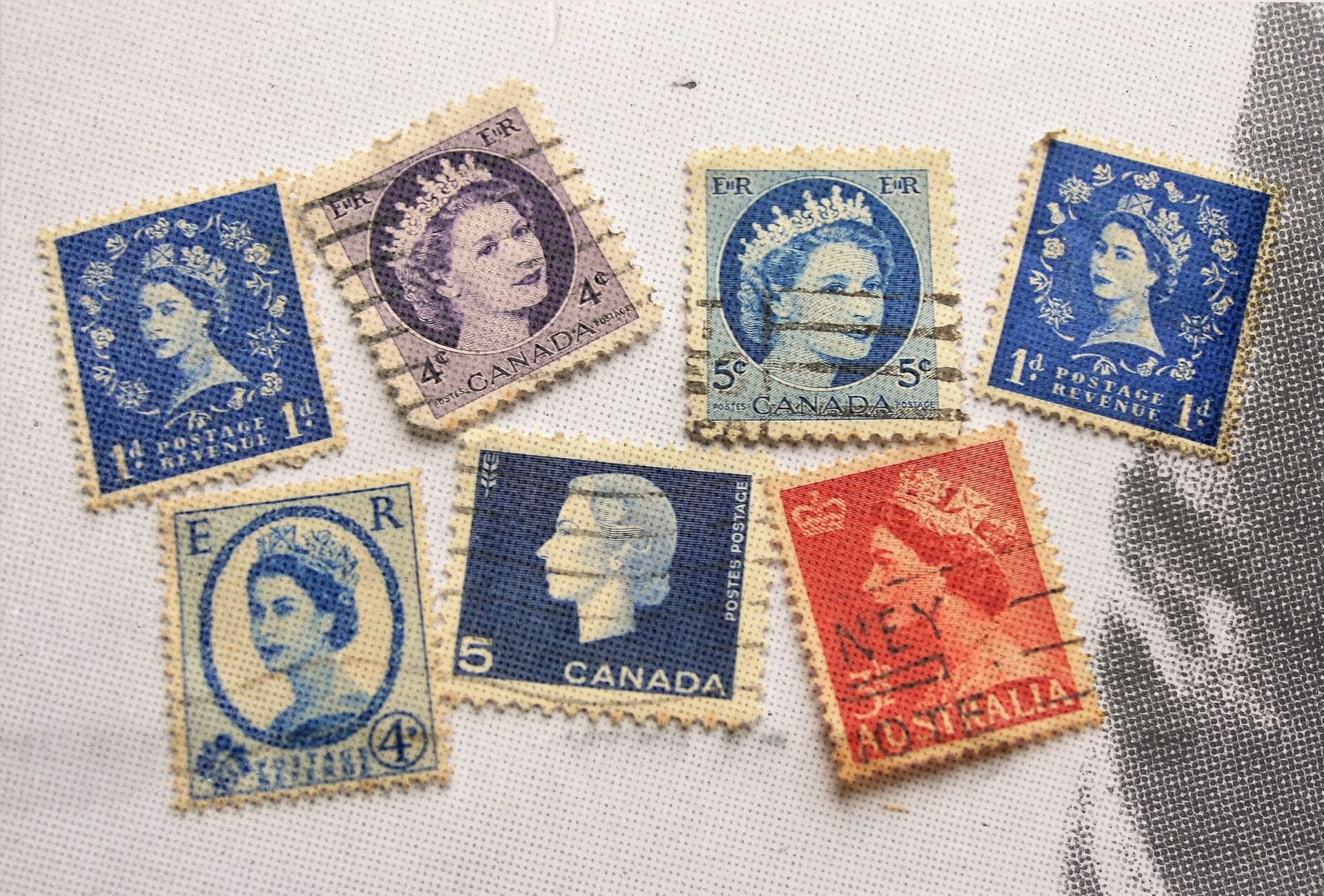 Lizzy’s in a Box What's Next? The McGill Daily