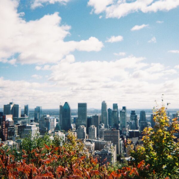The City’s Ours