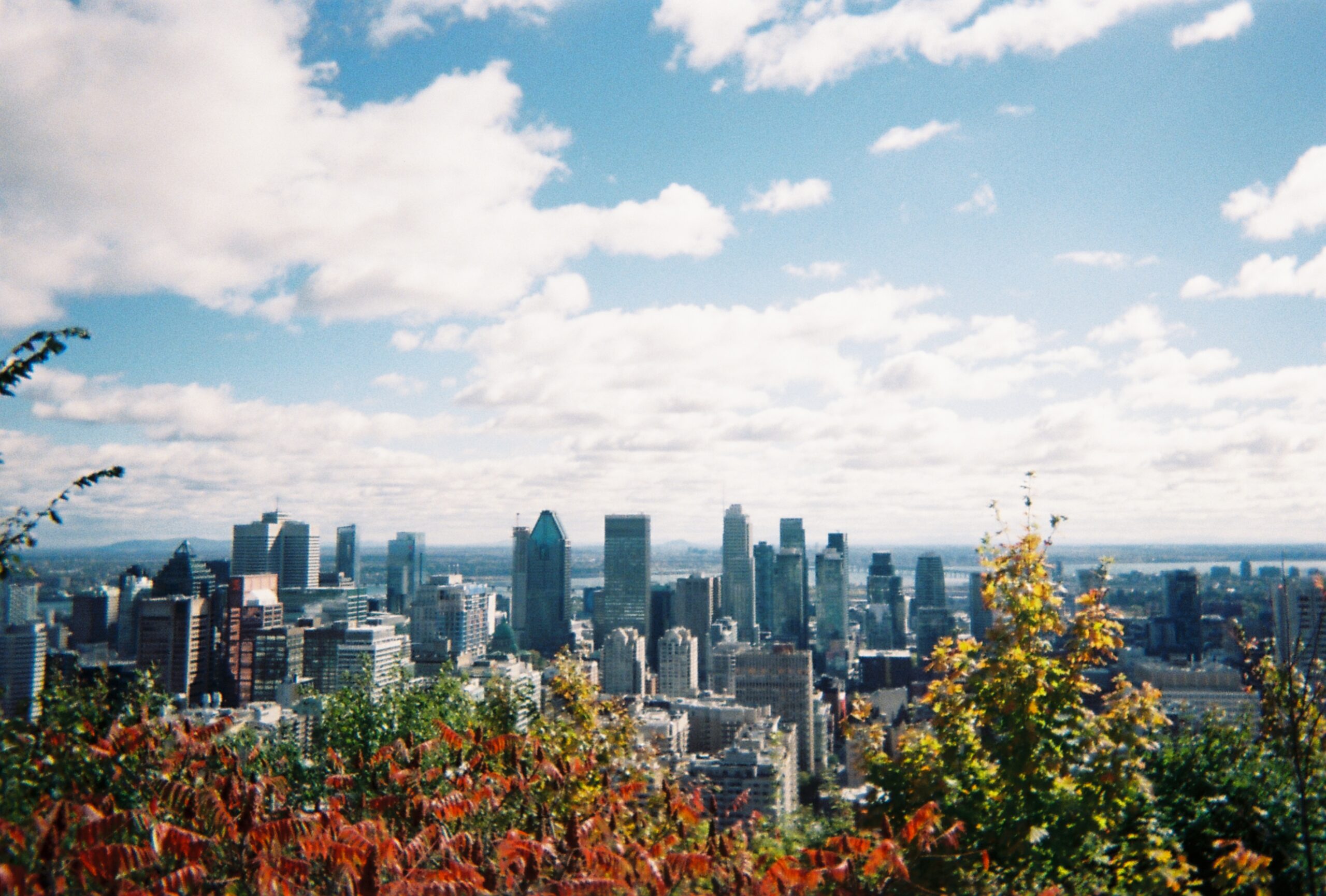 The City’s Ours